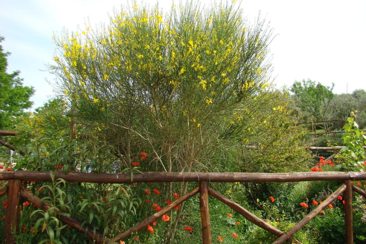 Casa Natura ซานจีมิญญาโน ภายนอก รูปภาพ